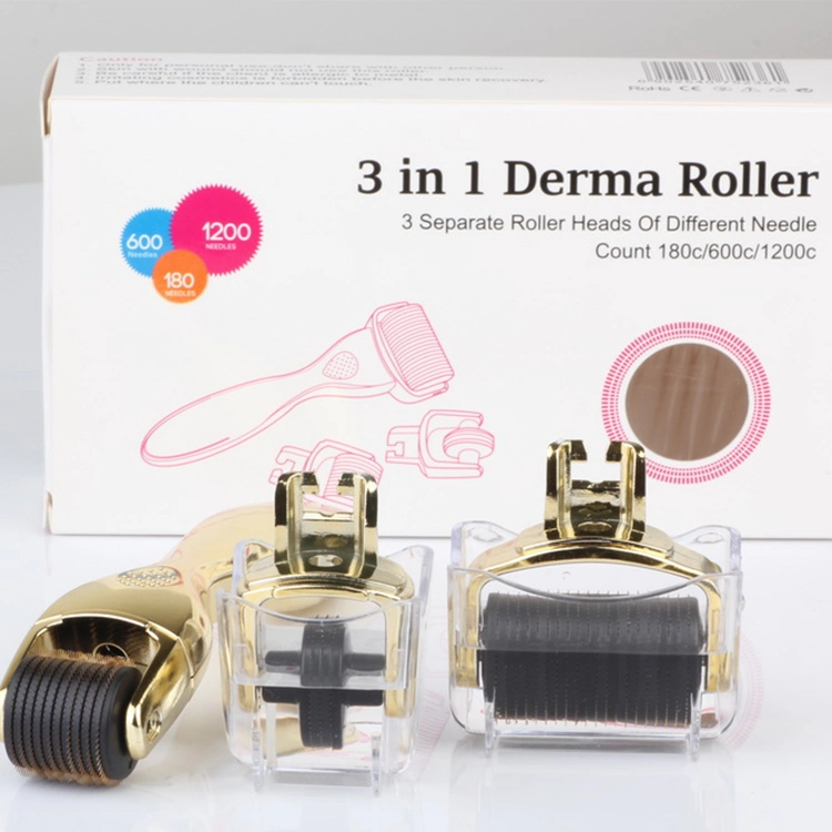 OEM/ODM marque personnalisée 3 en 1 Drs Derma Roller pour anti-âge Titane en acier inoxydable 0
