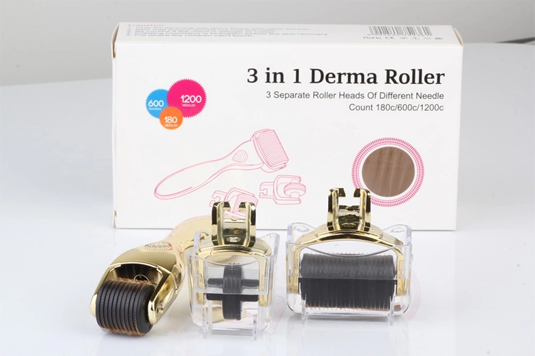 OEM/ODM marque personnalisée 3 en 1 Drs Derma Roller pour anti-âge Titane en acier inoxydable 2